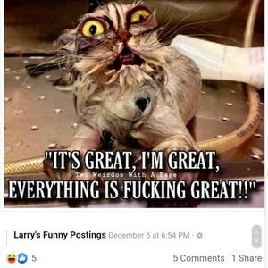 Meet your Posher, Nancy